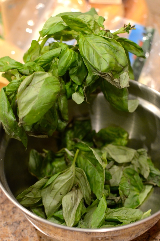 Store-bought basil can be extremely dirty. Be sure to thoroughly wash by swishing in a bowl of cold water and then lifting out to leave the sand at the bottom of the bowl.